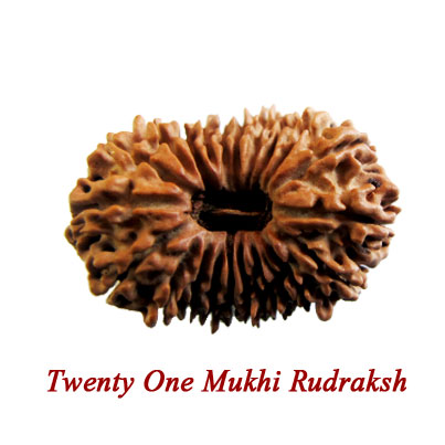 twentyone mukhi rudraksha